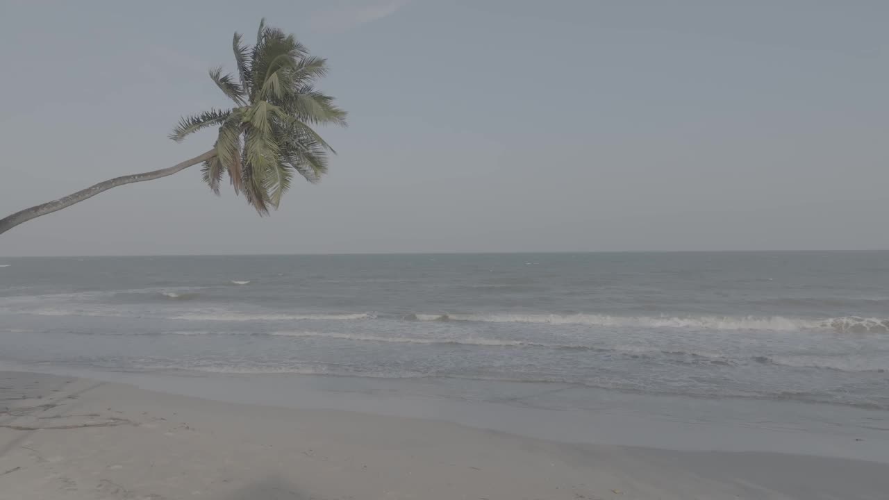 泰国春丰，晴朗的天空，棕榈树，细沙和浪花飞溅到宁静的海滩上。视频下载