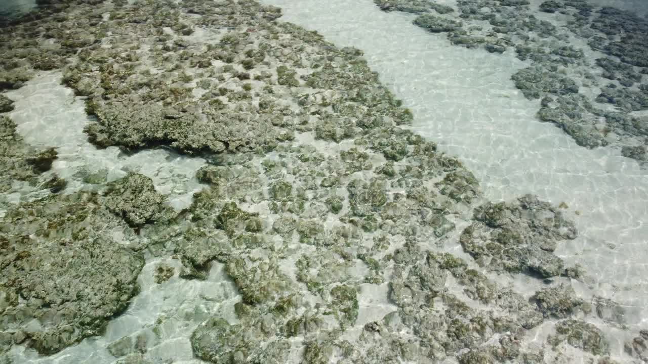 在巴西马拉戈吉的珊瑚礁湾水域，无人机拍摄的清澈水晶水和珊瑚视频素材