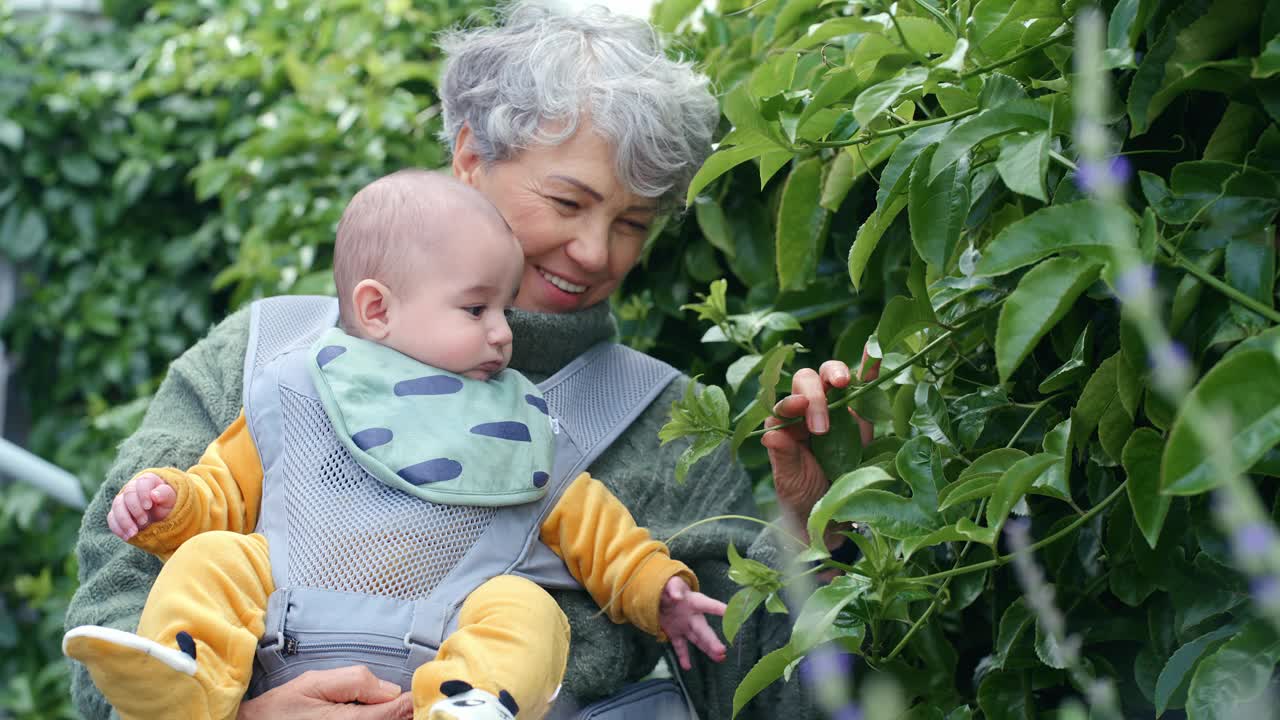 植物，婴儿和祖母在房子的后院照看孩子，作为关心，爱和户外联系在一起。婴儿、老人、退休妇女与孩子在大自然中作为家庭在花园视频素材