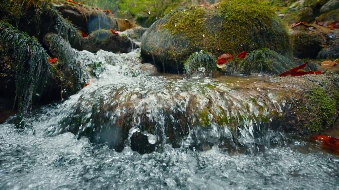 山上的河流流水在岩石上与苔藓在森林的极端特写镜头视频素材