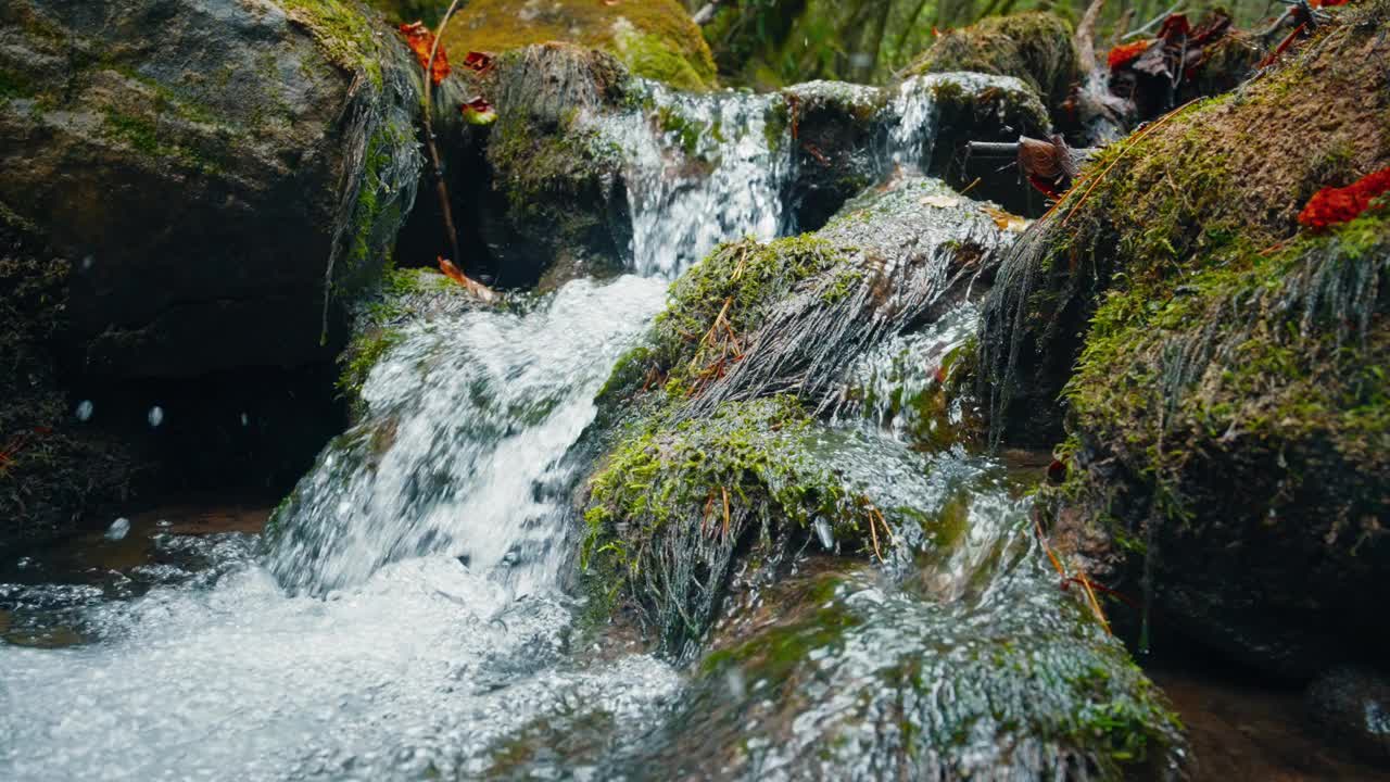 美丽的山水流在秋天的森林里。岩石上流动的河流视频下载