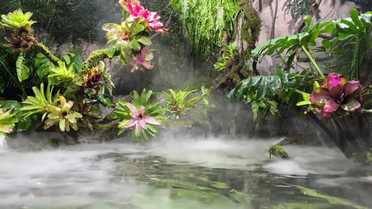 水边云雾缭绕，水草茂盛。水里的鱼自由地游来游去。视频素材