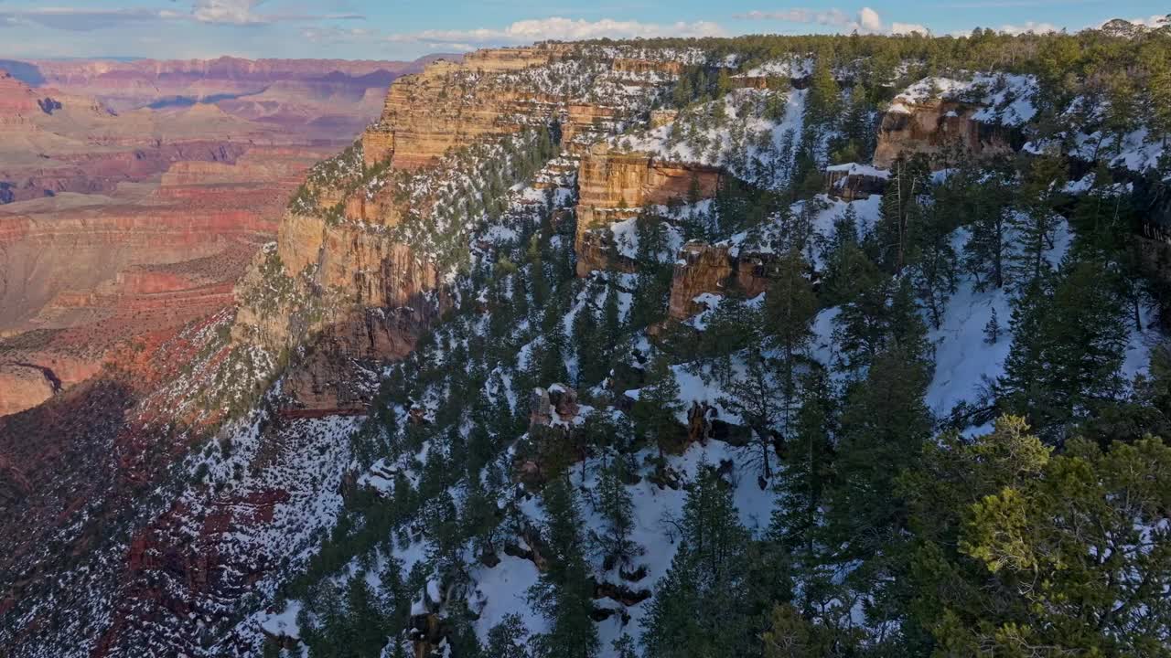 在亚利桑那州大峡谷国家公园的雪状岩层顶部的树木。空中的回调视频素材