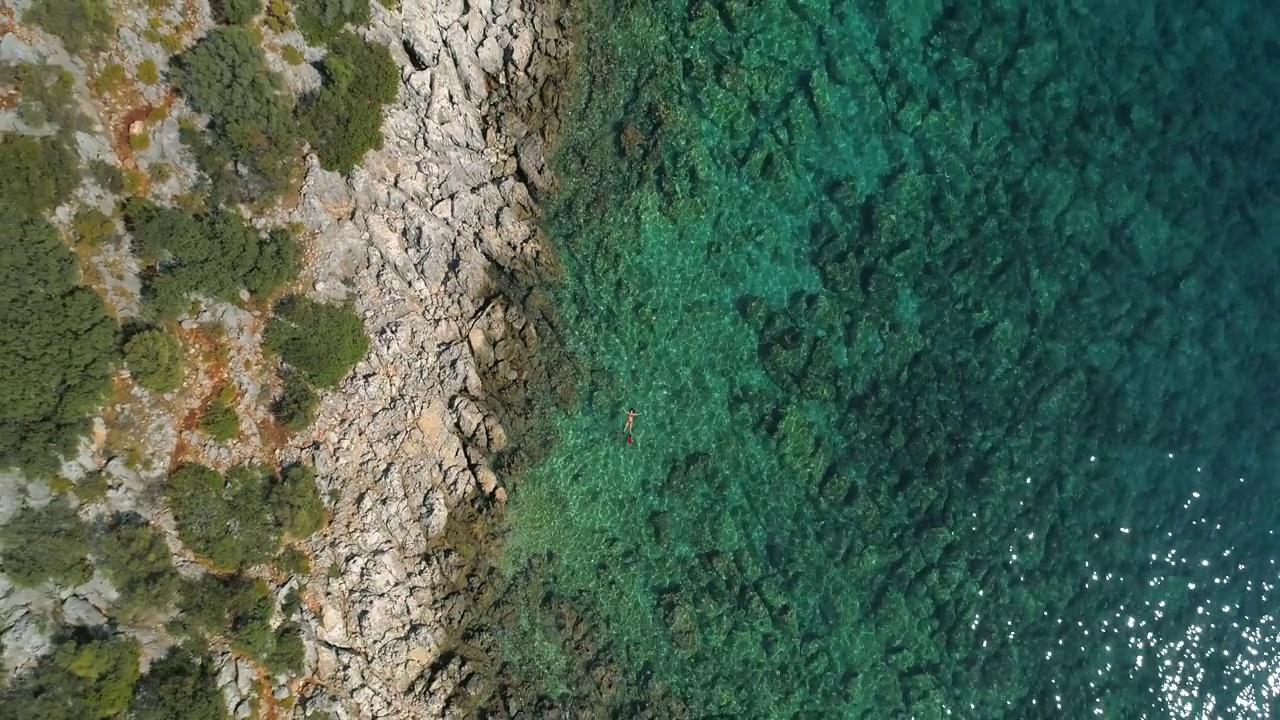 在清澈的绿松石海水中游泳视频下载