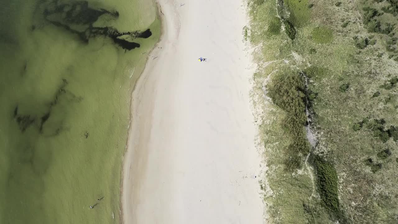 在波罗的海的原始海滩上体验一次迷人的无人机之旅。在金色的沙滩上滑翔，见证宁静的海浪抚摸着海岸。视频素材