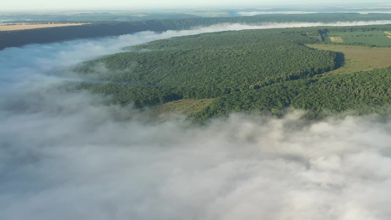 雾气笼罩的清晨森林的壮丽景色。视频下载