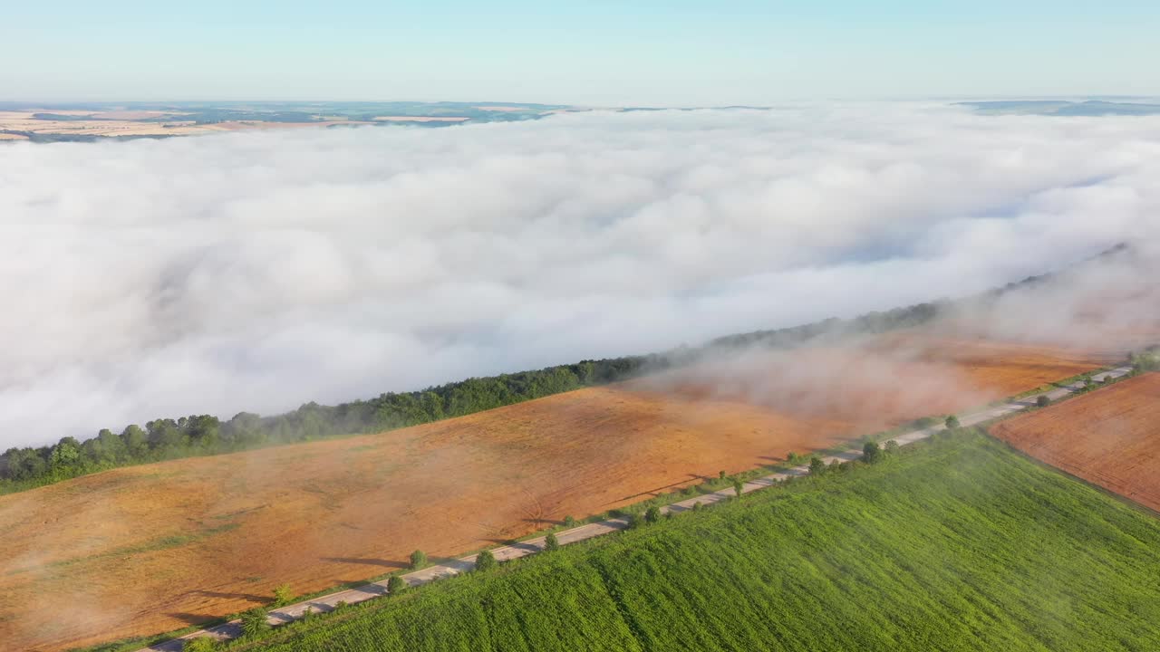 穿过农田的乡间小路笼罩着浓雾。视频下载