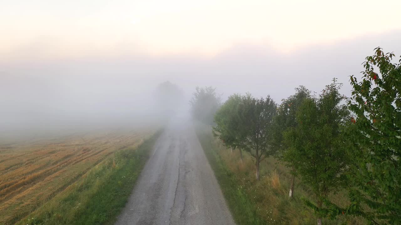 鸟瞰乡村道路和有雾耕地的画面。视频下载