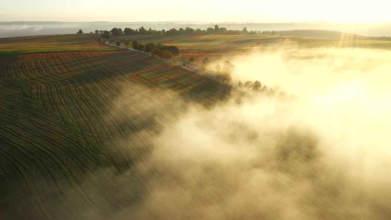 华丽的镜头从一个鸟瞰的耕地和农田。视频下载