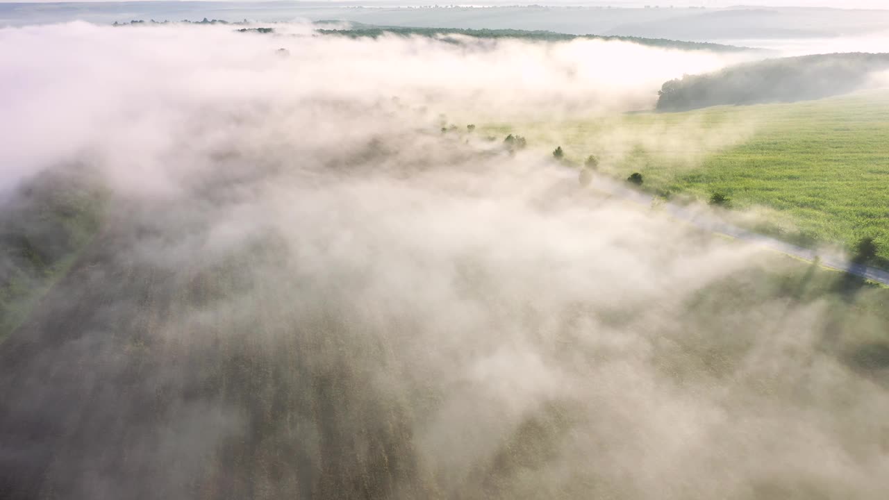 鸟瞰覆盖着蓬松浓雾的美丽山谷的画面。视频下载