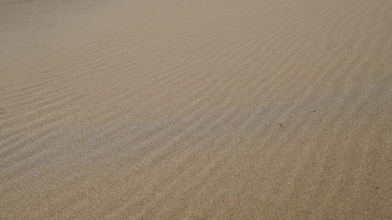 沙子的特写镜头。沙子的质地，被风吹走的沙粒飞扬。视频素材