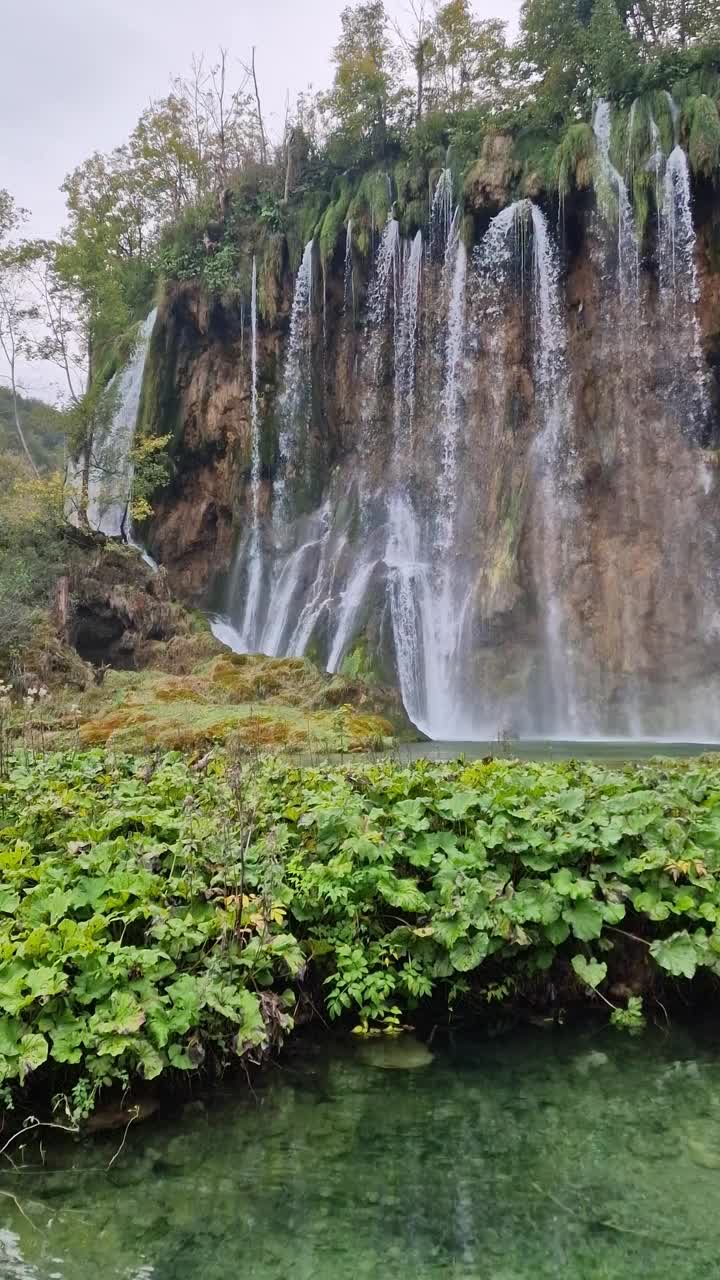 特湖视频素材