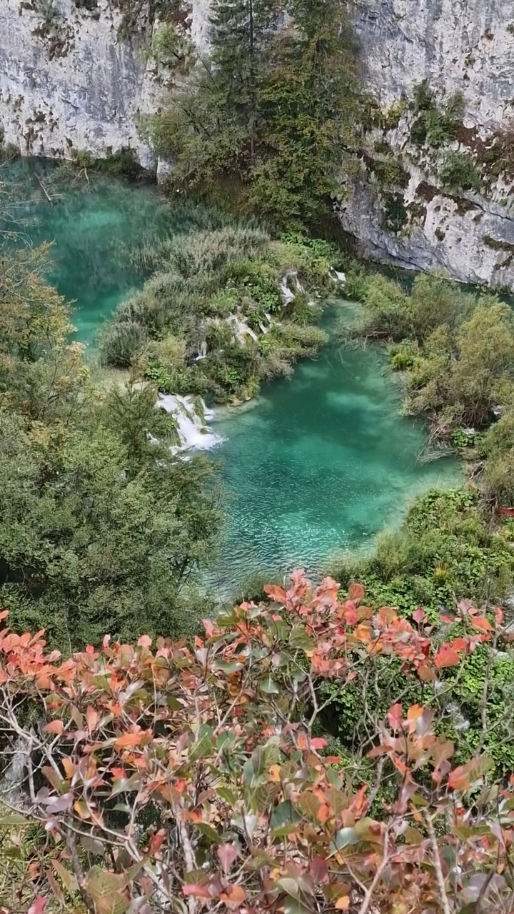 特湖视频下载