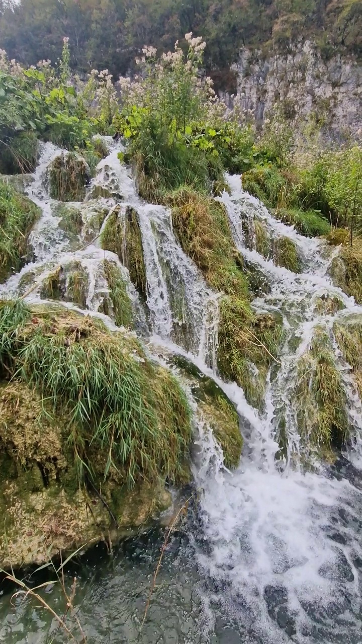 特湖视频下载