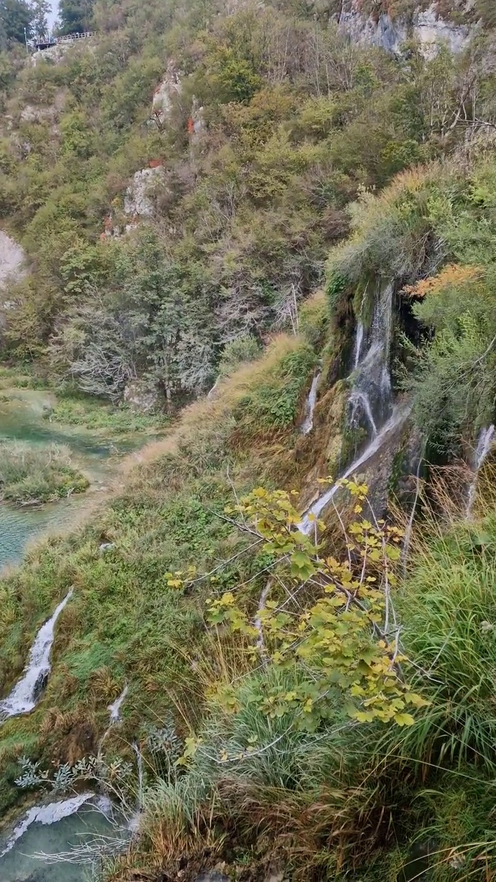 特湖视频下载