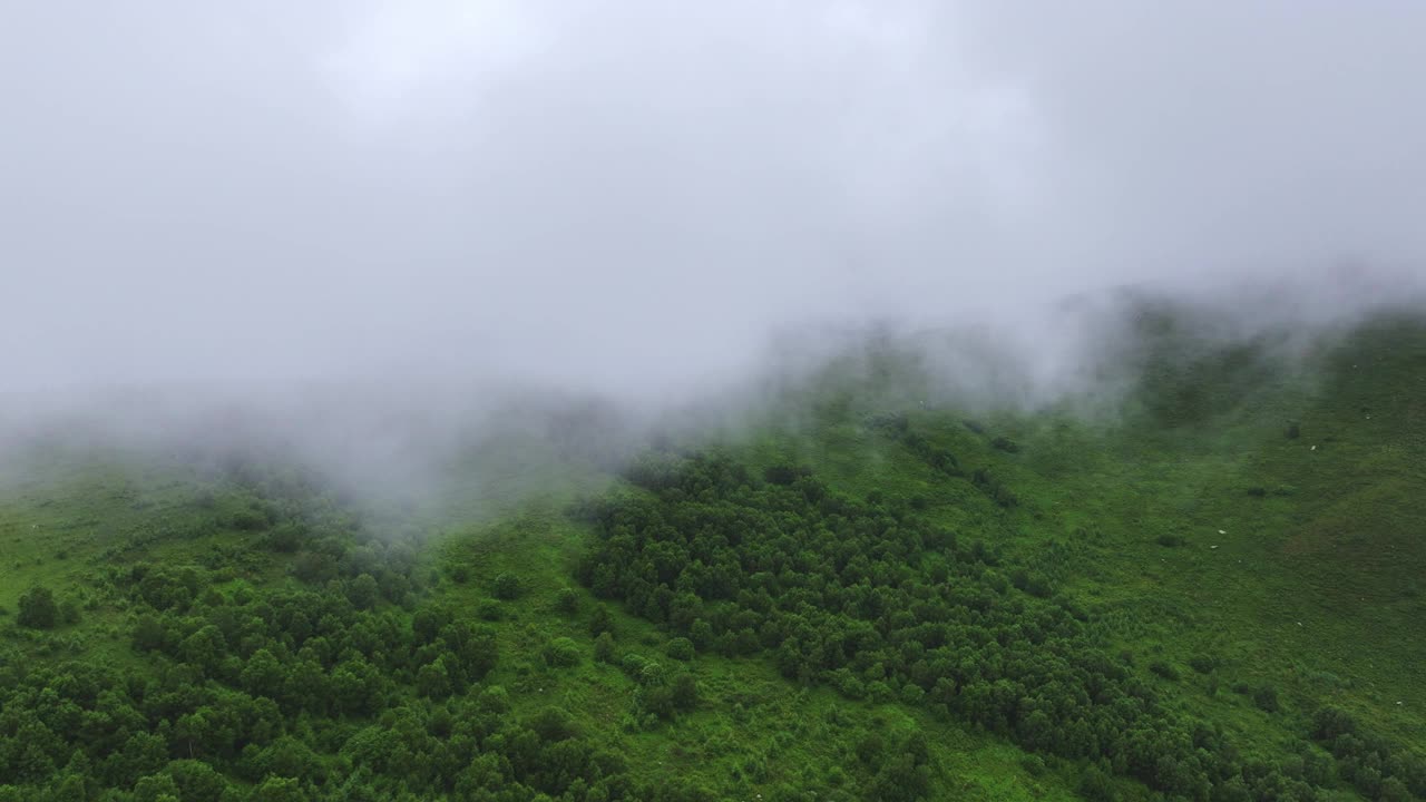 云层下的夏季自然景观航拍视频素材