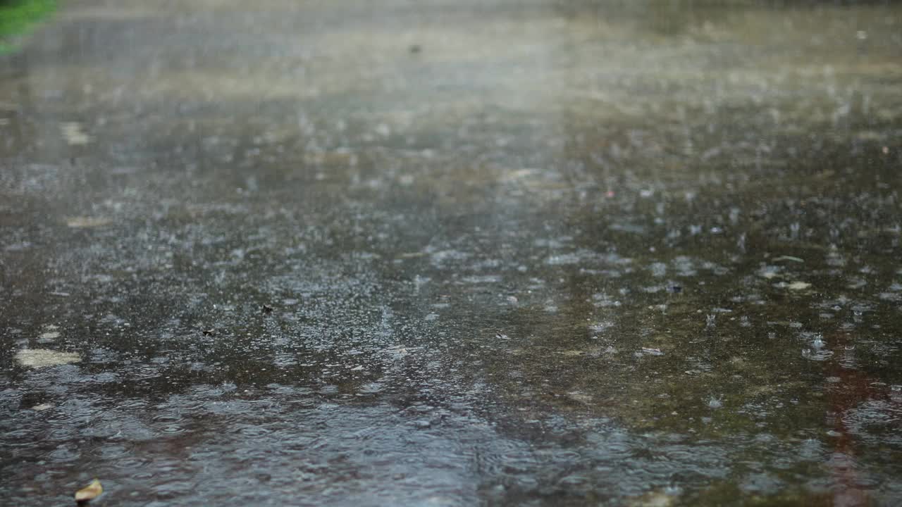 夏季风暴期间的大雨。视频素材