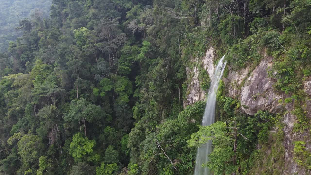 空中轨道自由落体瀑布在野生洪都拉斯，Cascada el Bejuco视频素材