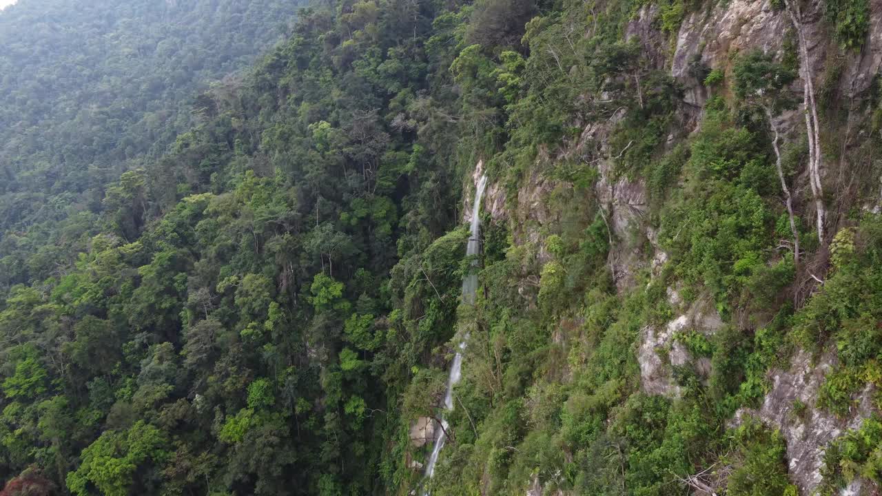 悬崖空中飞到纤细的丛林瀑布在洪都拉斯山区视频素材