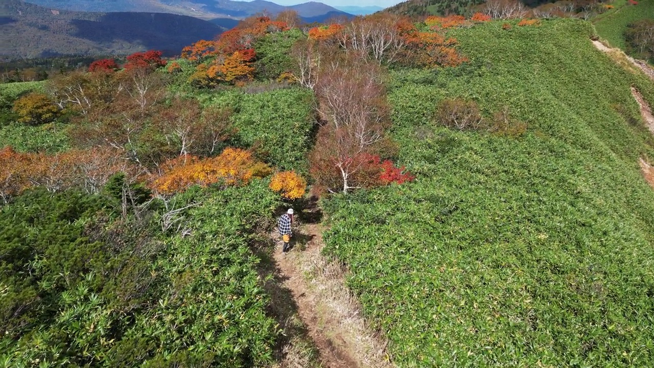 独自在秋山徒步旅行的女性视频素材