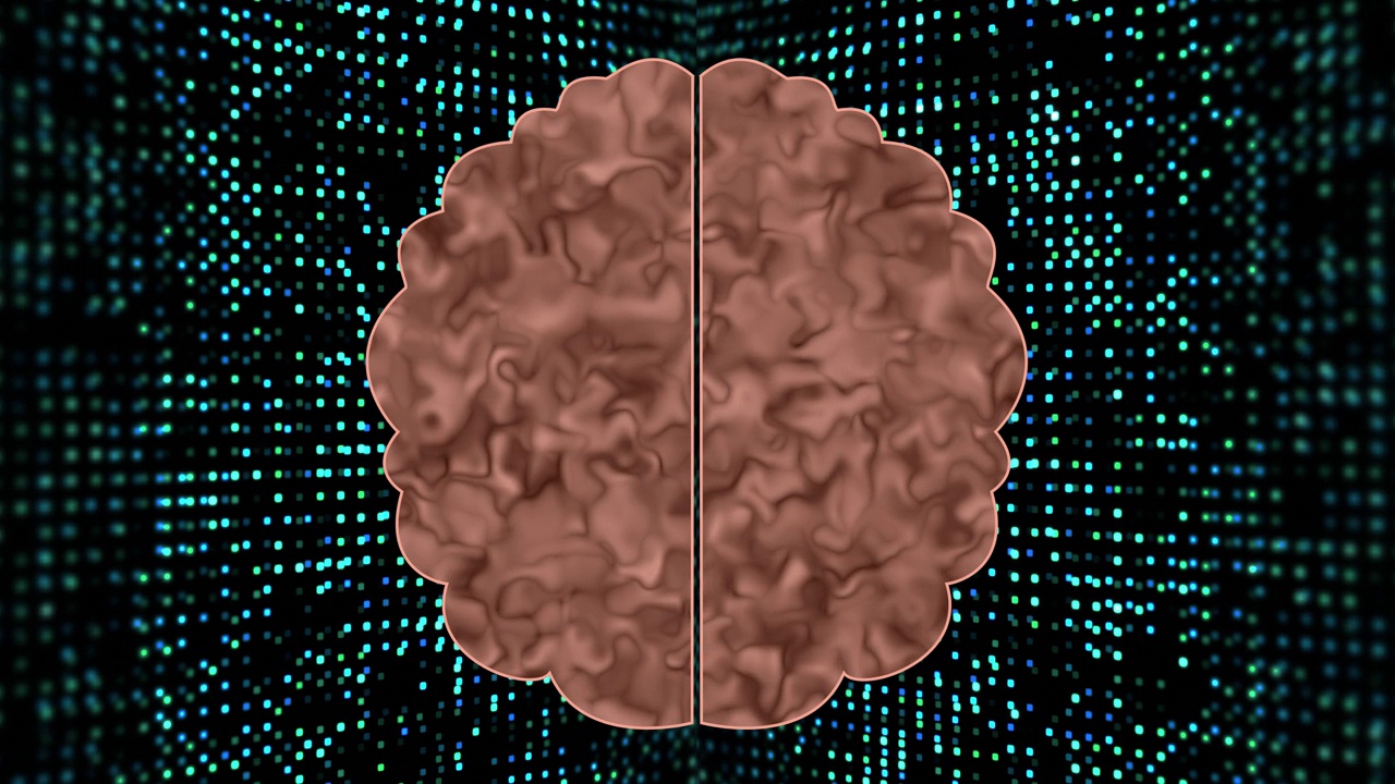 数字背景下的人类大脑视频素材