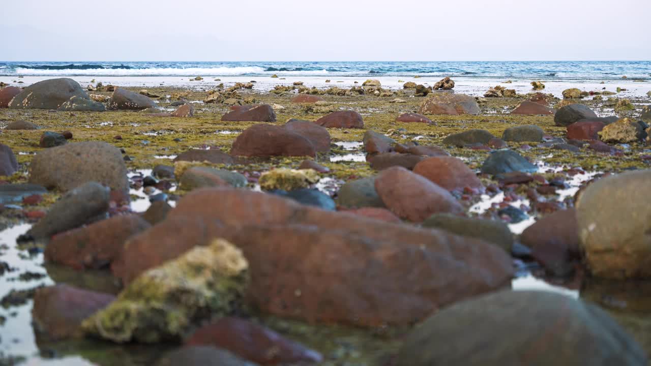 海滩上的低潮。水藻中的水下石头近照视频素材