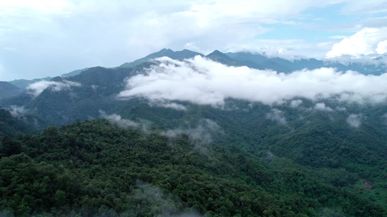 无人机在泰国南的原始丛林热带雨林上空拍摄。鸟瞰图,视频素材