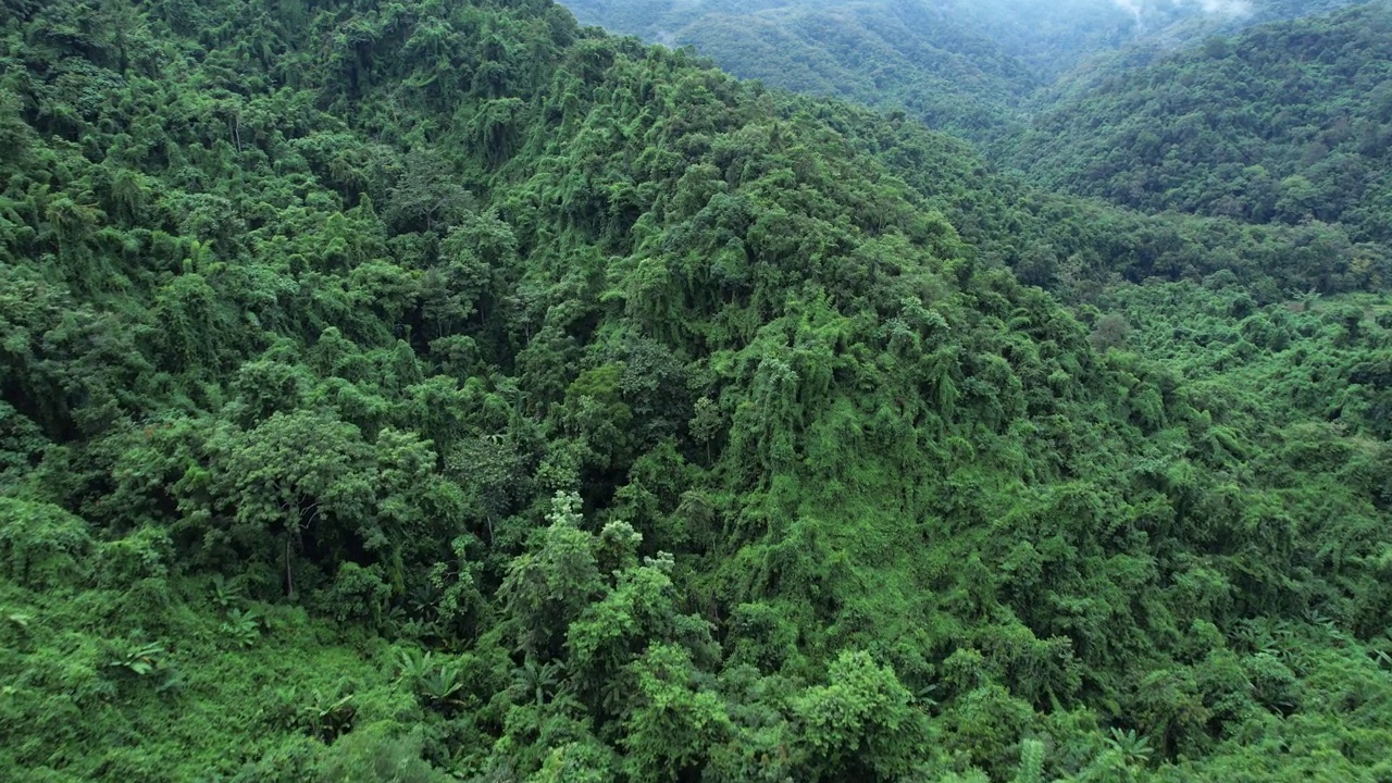 无人机在泰国南的原始丛林热带雨林上空拍摄。鸟瞰图,视频素材