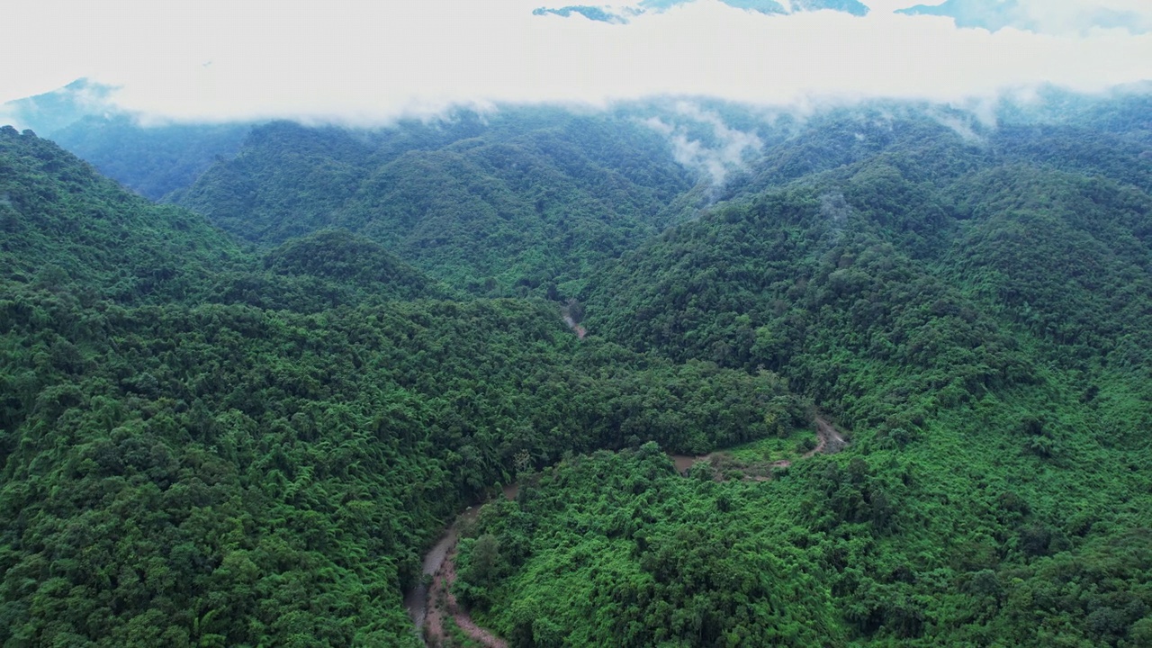 无人机在泰国南的原始丛林热带雨林上空拍摄。鸟瞰图,视频下载