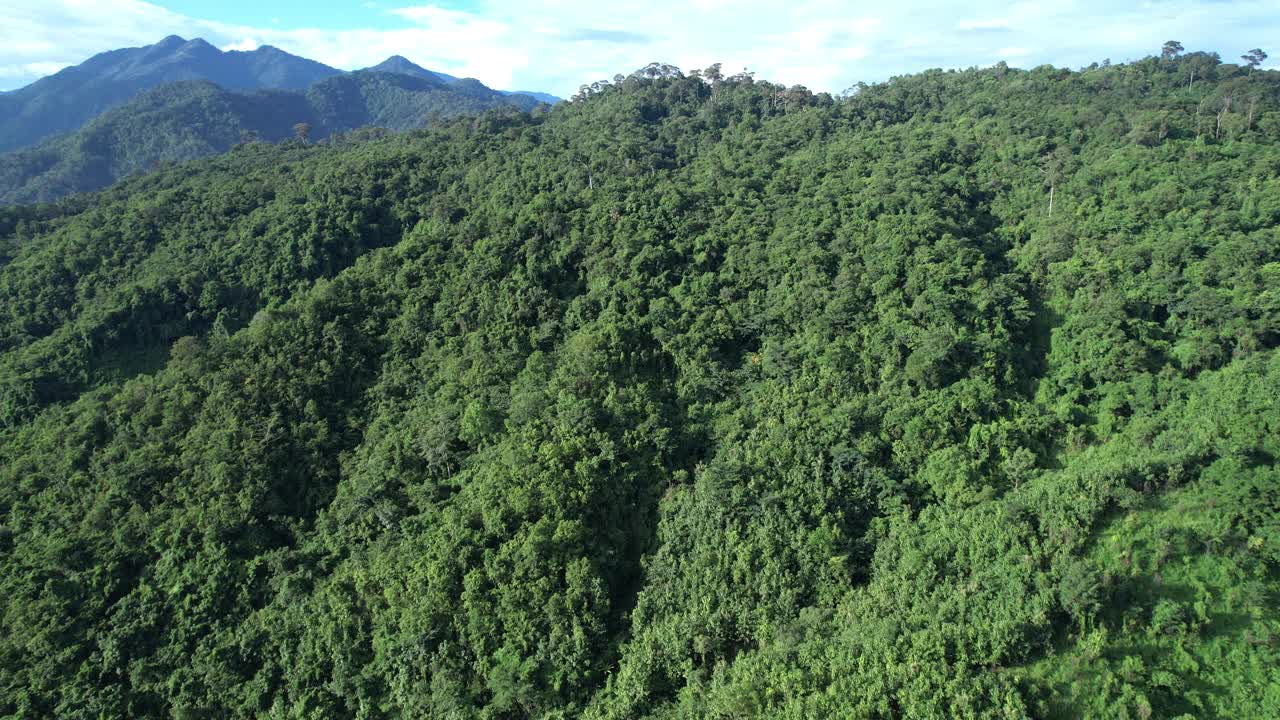 无人机在泰国南的原始丛林热带雨林上空拍摄。鸟瞰图,视频素材