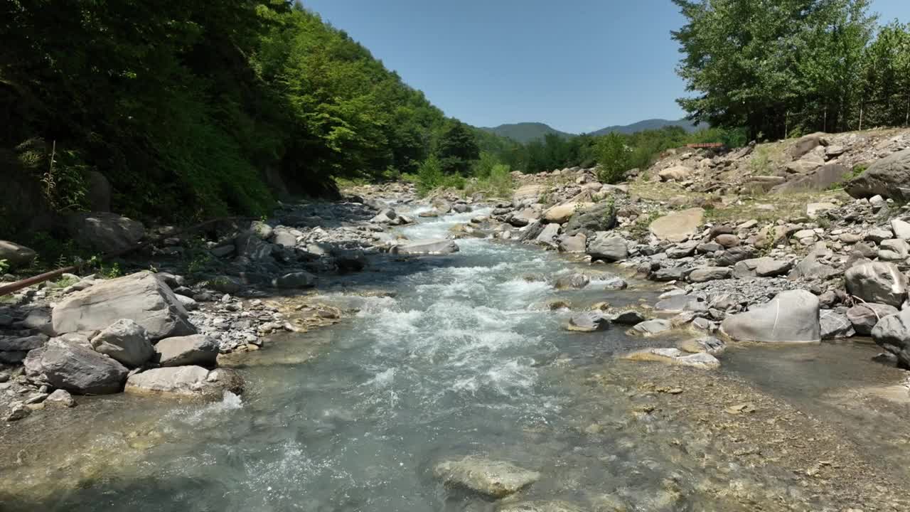 美丽的山河在森林里视频素材