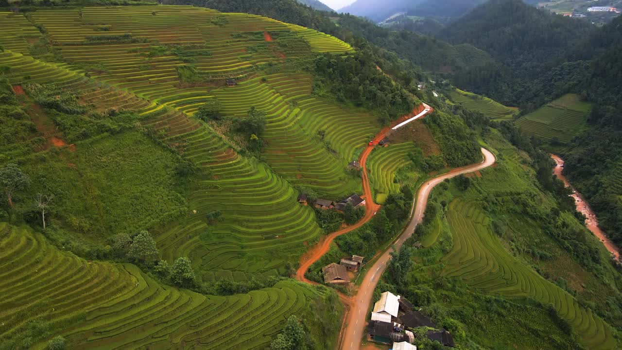 鸟瞰图稻田梯田全景山坡与水稻种植在山上视频素材