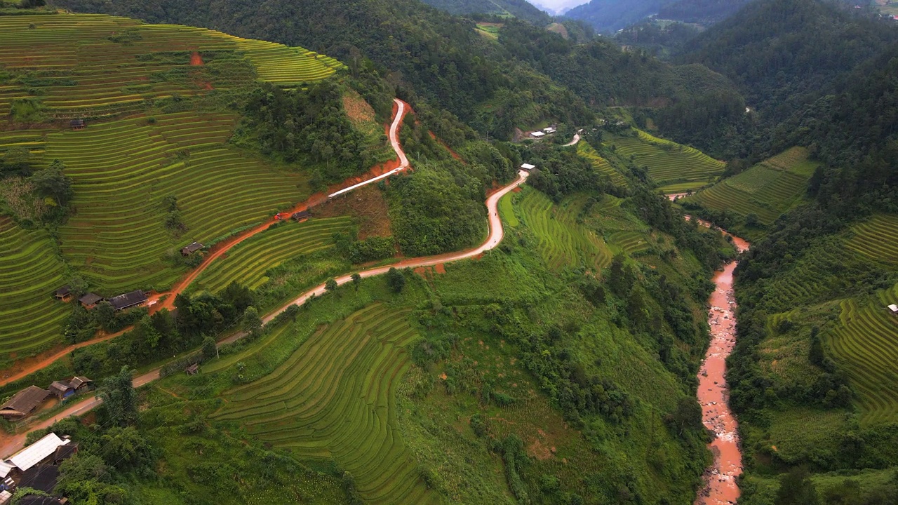 鸟瞰图稻田梯田全景山坡与水稻种植在山上视频素材