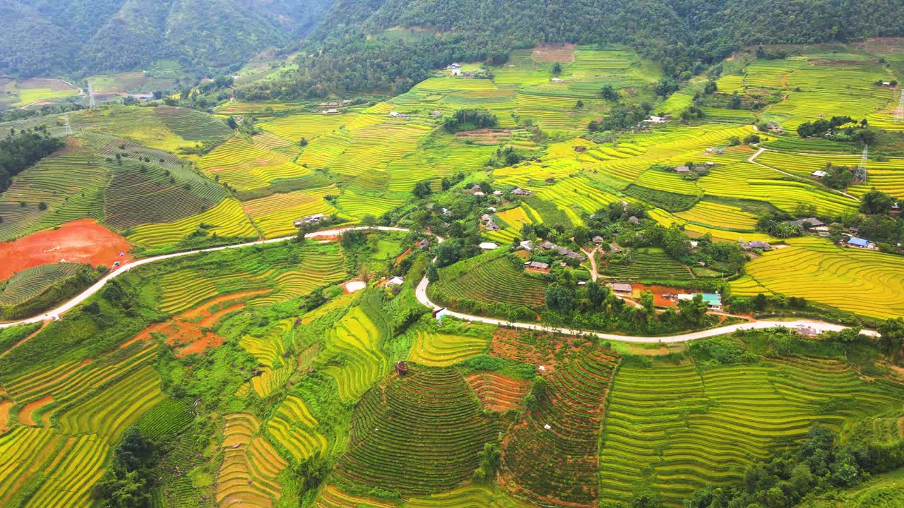 鸟瞰图稻田梯田全景山坡与水稻种植在山上视频素材