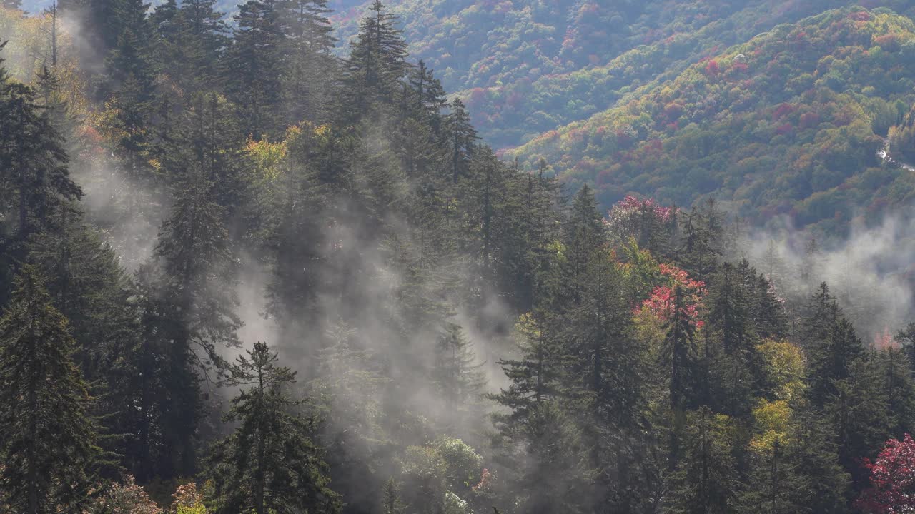 秋天山中起雾视频素材