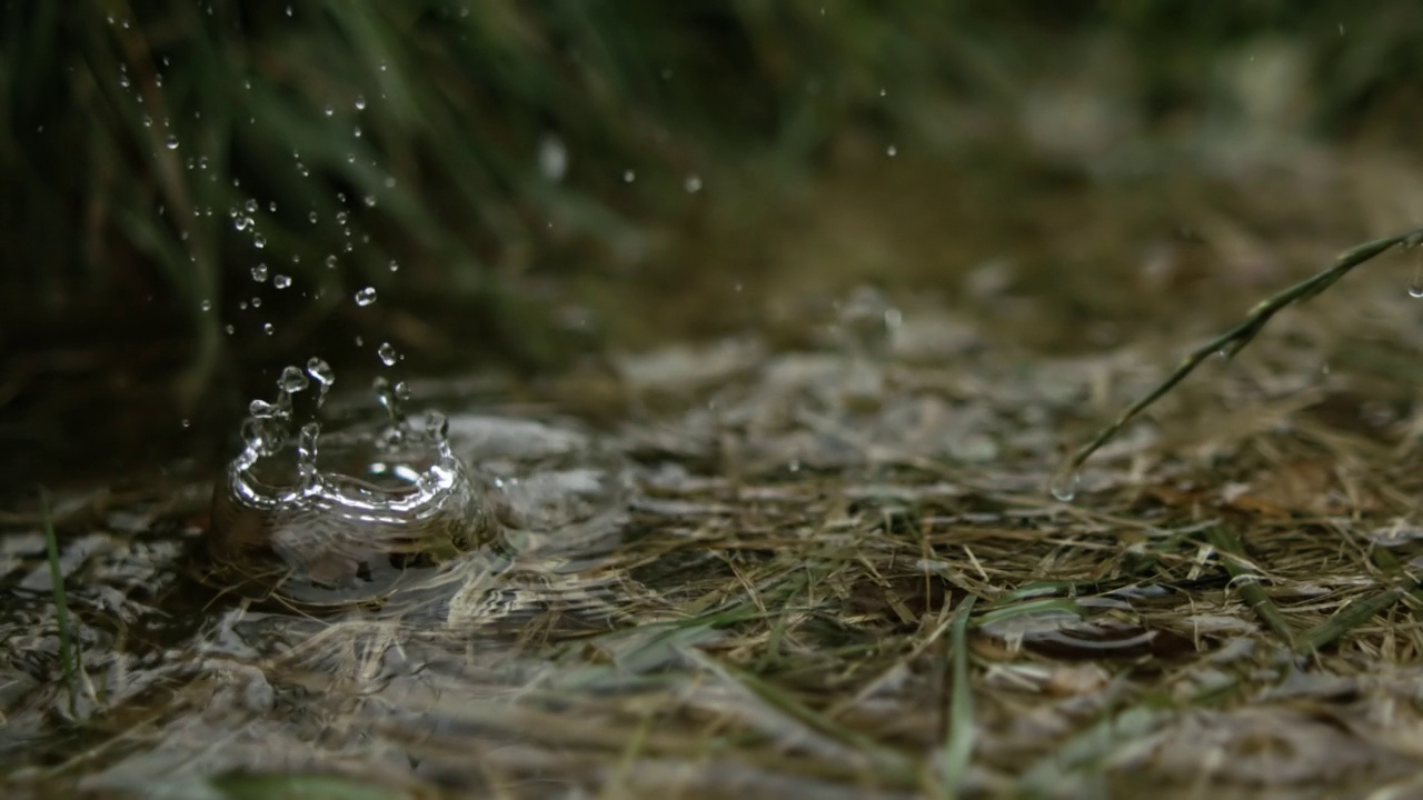 雨滴滴落在水坑里。视频素材