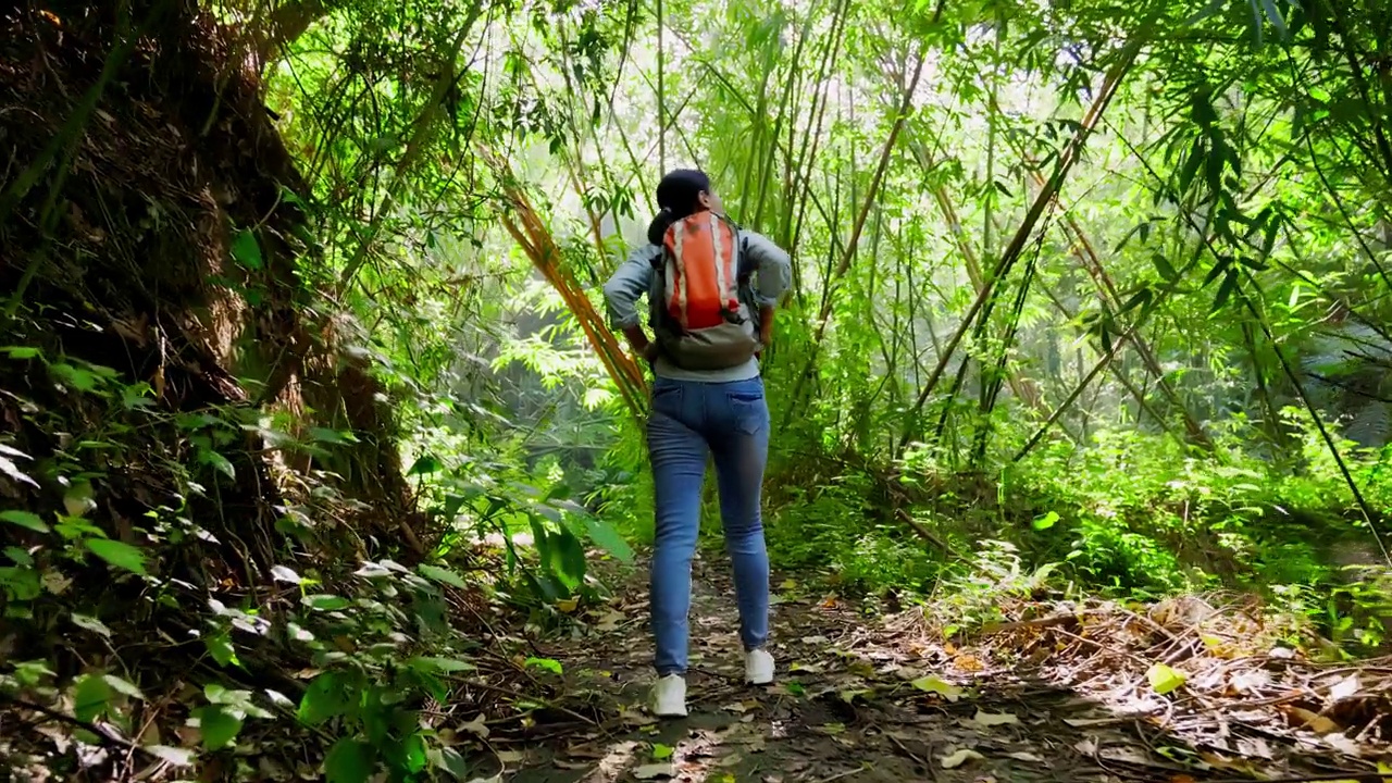 在山上徒步旅行的亚洲妇女视频素材