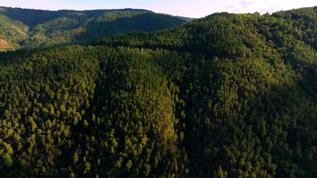 覆盖着茂密森林的山脉。空中拍摄视频素材