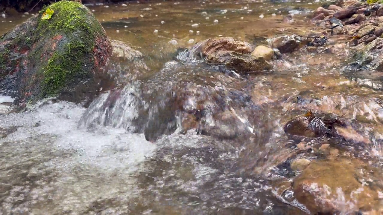 河水湍急，水流过岩石。野生自然视频素材