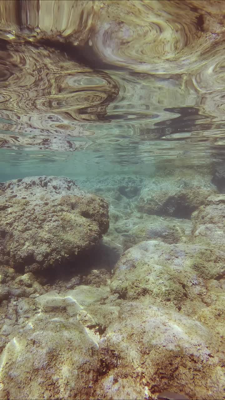 水下海景与石头礁石水下反射在水面上视频素材