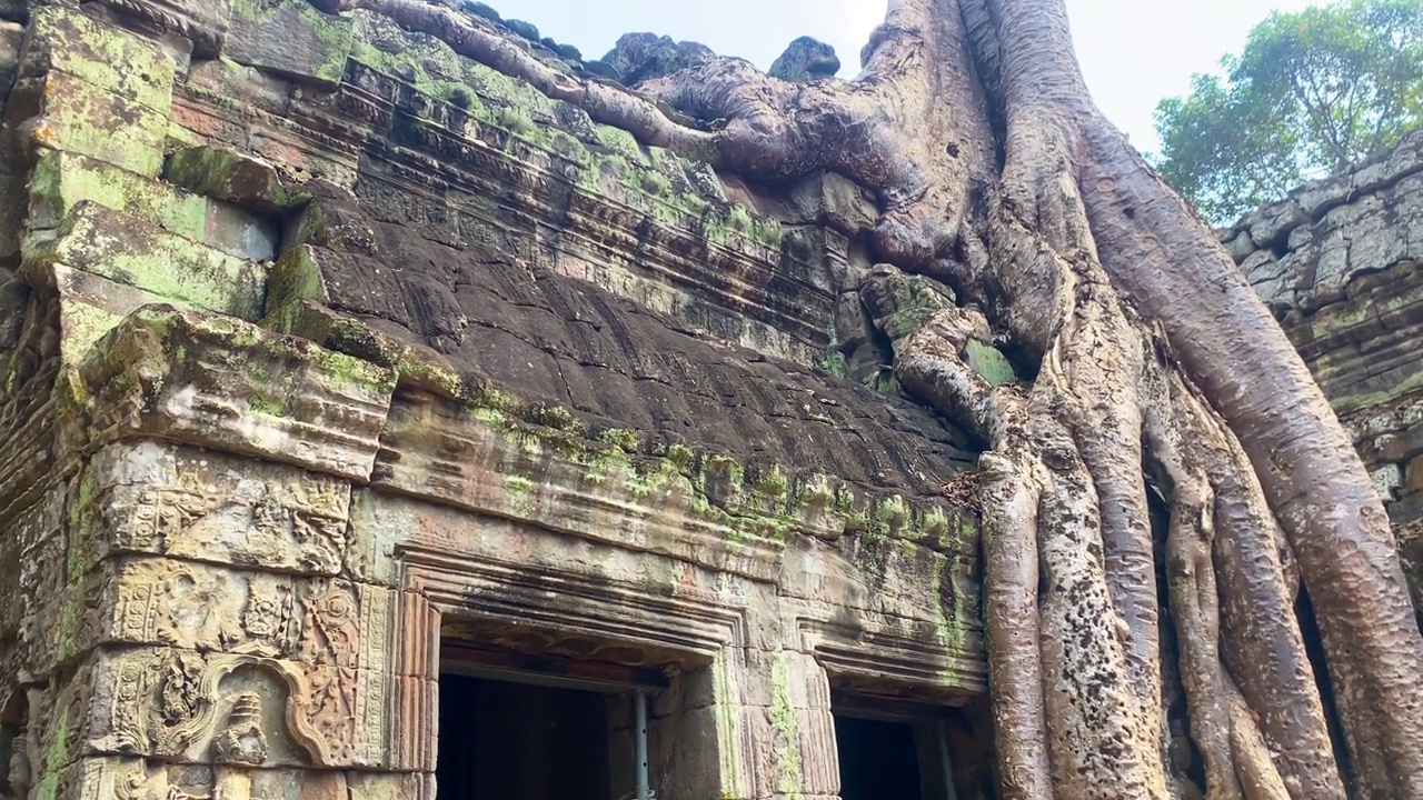 塔普罗姆，一座神秘的高棉文明寺庙，位于柬埔寨吴哥的领土上视频素材