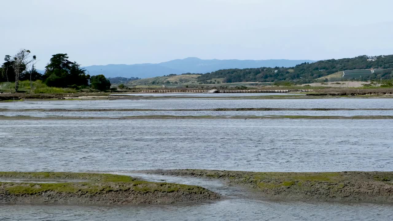 埃尔克霍恩沼泽的流水视频下载