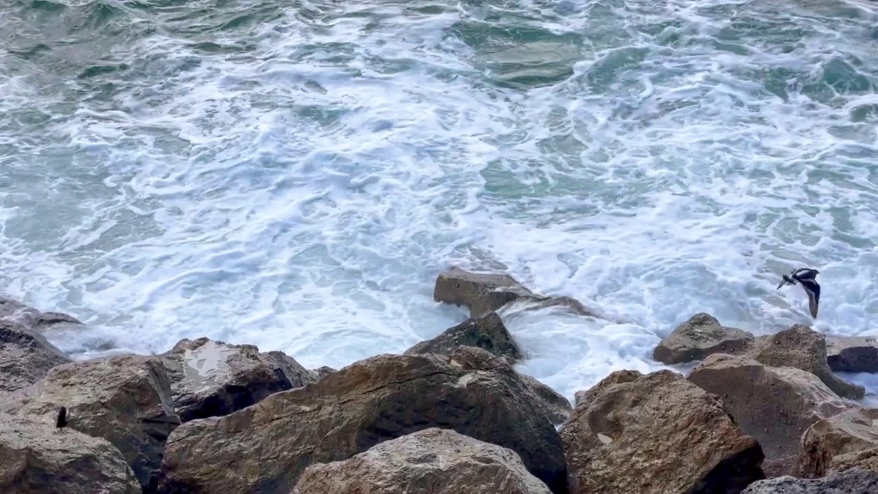 海浪拍打着海岸视频素材