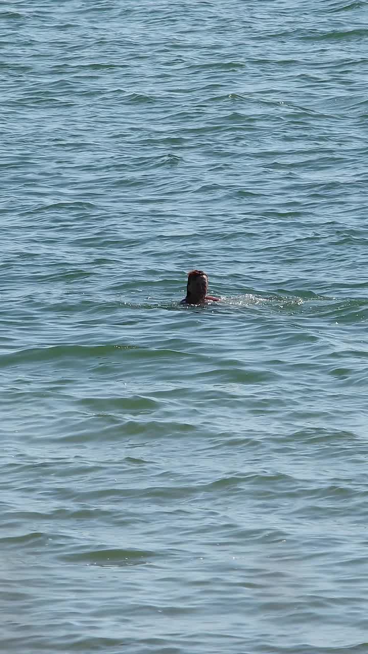 一个女人在阳光明媚的日子里在海里游泳视频素材