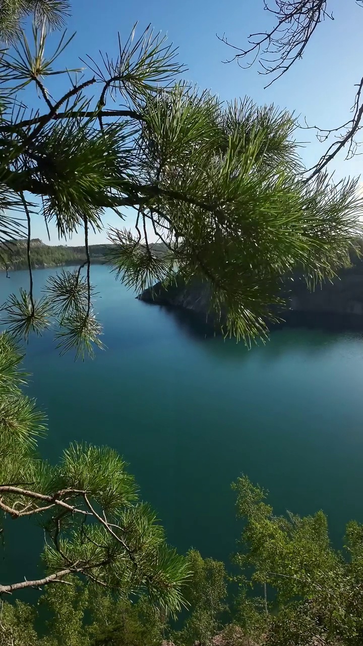 湖景有绿松石水，夏日阳光明媚。垂直视频视频素材