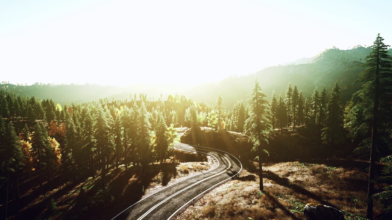 日落时分，一条宁静而风景优美的道路蜿蜒穿过风景如画的森林视频素材