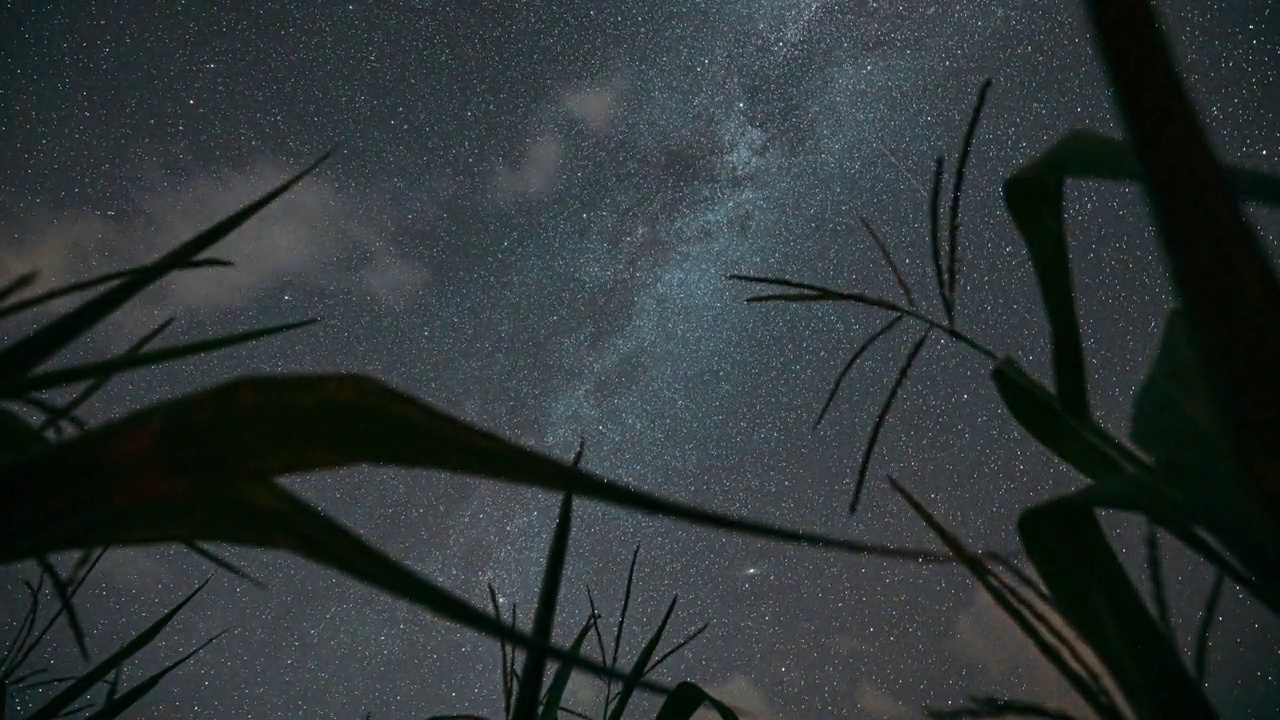 4K夜晚星空发光的银河星星和流星轨迹在玉米玉米地种植园在夏季农业玉米地。背景延时，延时，延时视频素材