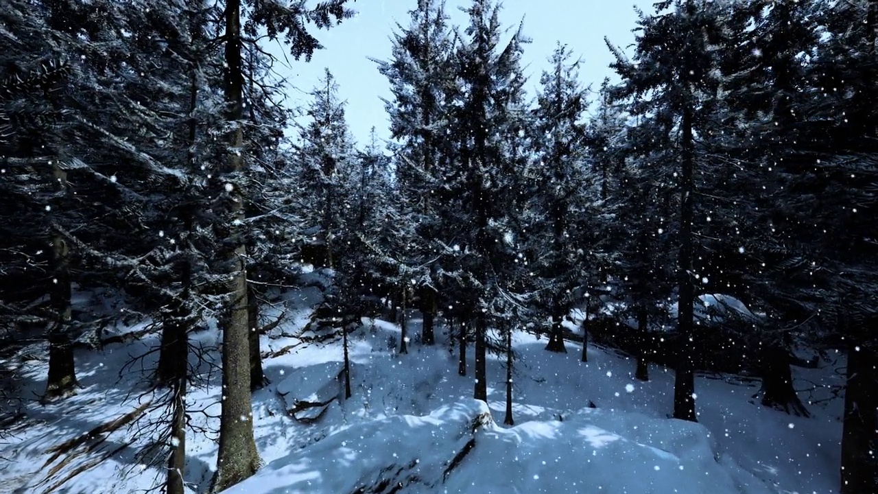 一个冬季仙境，茂密的森林覆盖着闪闪发光的雪视频素材