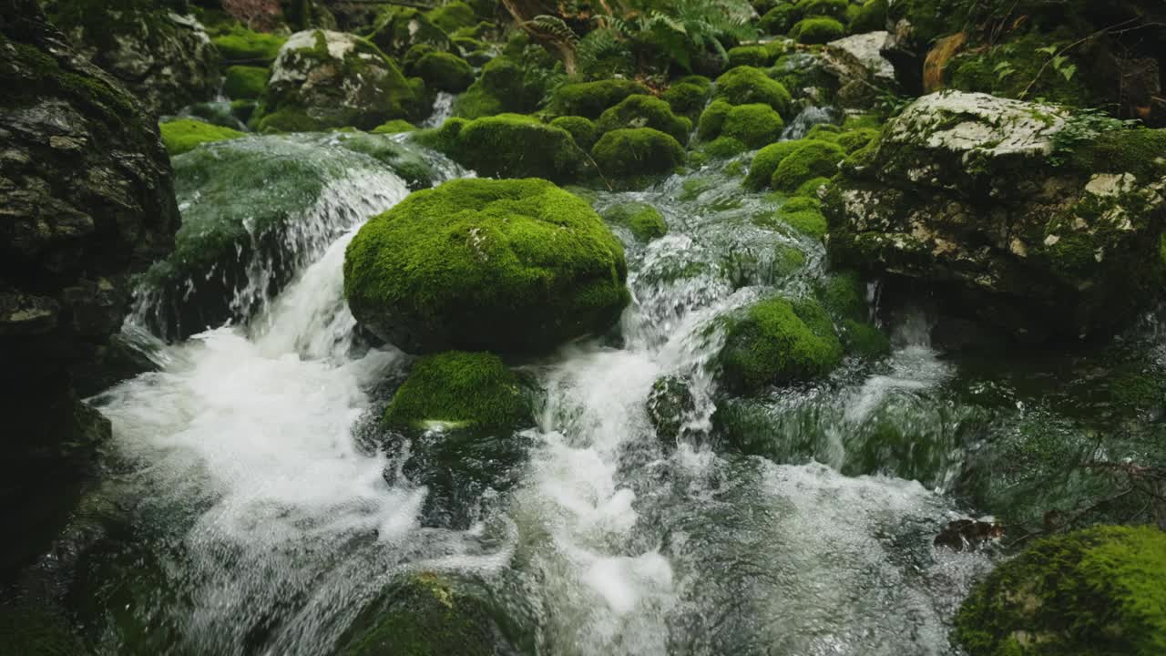 萨瓦波欣卡河在波欣卡森林中流过绿色的苔藓覆盖的岩石视频素材