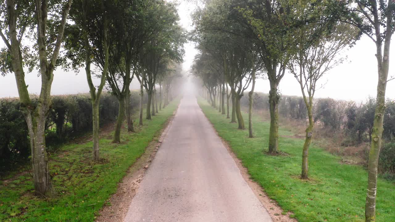 一个跑步者在雾蒙蒙的乡村道路上的高架剪辑-后视图视频素材